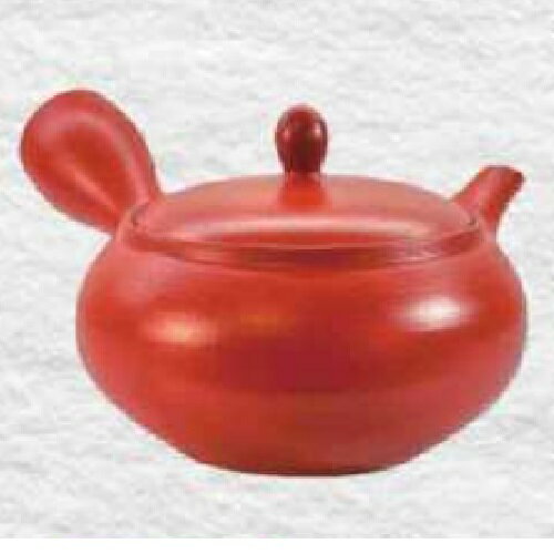 常滑焼 急須 晶窯作「朱 無地」360ml (えむ網茶こし)