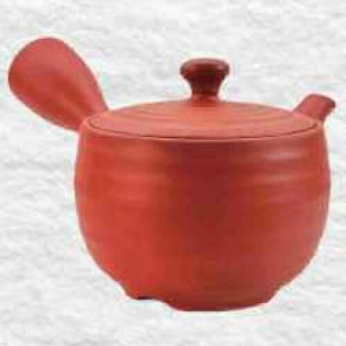 常滑焼 急須 晶窯作「朱 線段」300ml (えむ網茶こし)