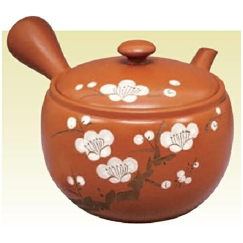 常滑焼 急須 竹春作「朱 白梅」540ml (さわやか網茶こし)