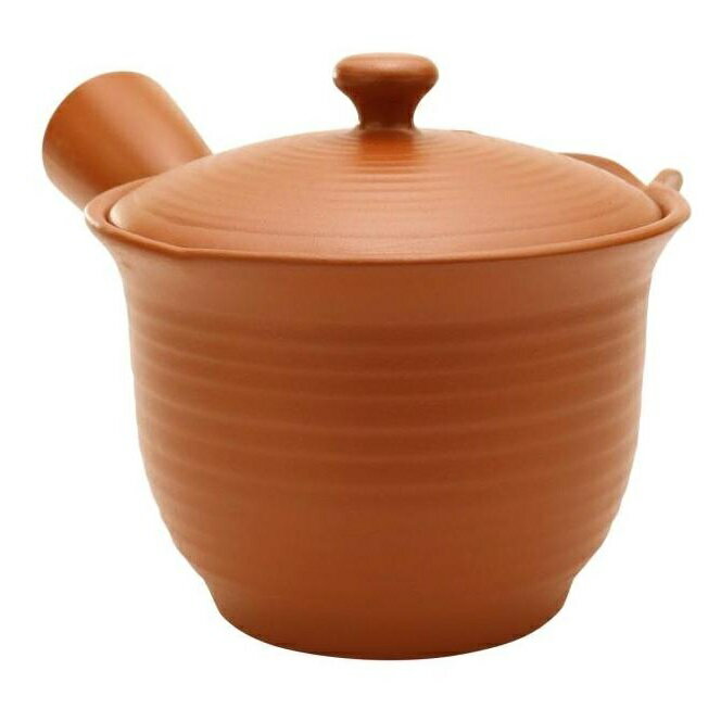 常滑焼 急須 晶窯作「朱 線段」350ml (さわやか網茶こし)