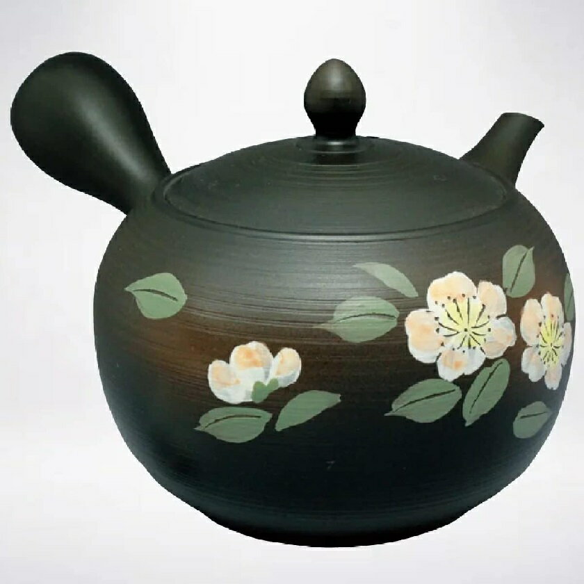 常滑焼 急須 春秋作「筋入山茶花」540ml (帯網茶こし)