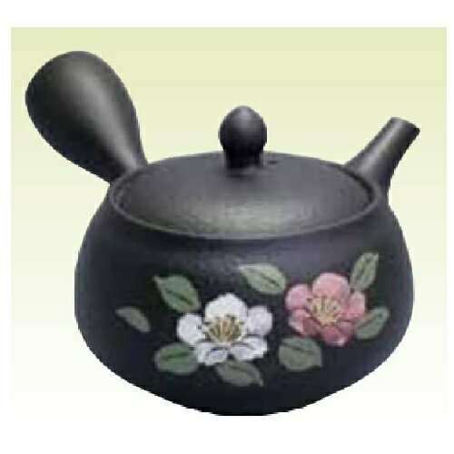 ���� �޿� �ս���ֹ����ߡ�300ml (�����㤳��)