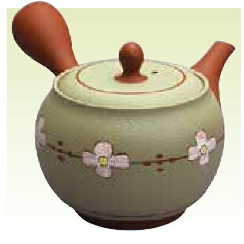 常滑焼 急須 春秋作「ノタ打ち花水木」340ml (帯網茶こし)