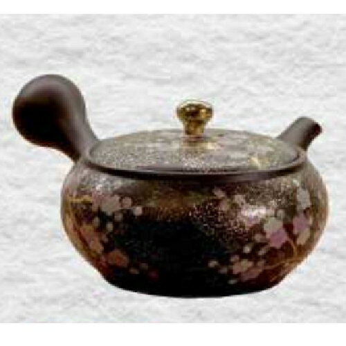 常滑焼 急須 竹春作「金紅白梅」230ml (セラメッシュ茶こし)