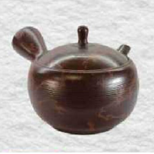 常滑焼 急須 玉龍作「紅絞り」280ml (セラメッシュ茶こし)