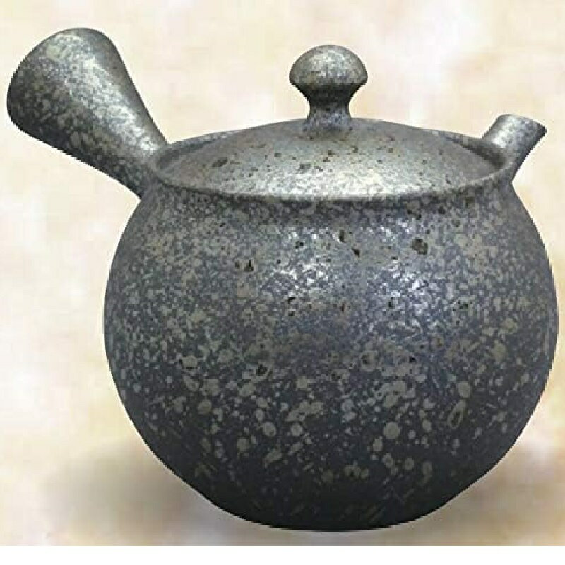 常滑焼 急須 徳太作「炭化灰釉バラ吹き」220ml (セラメッシュ茶こし)