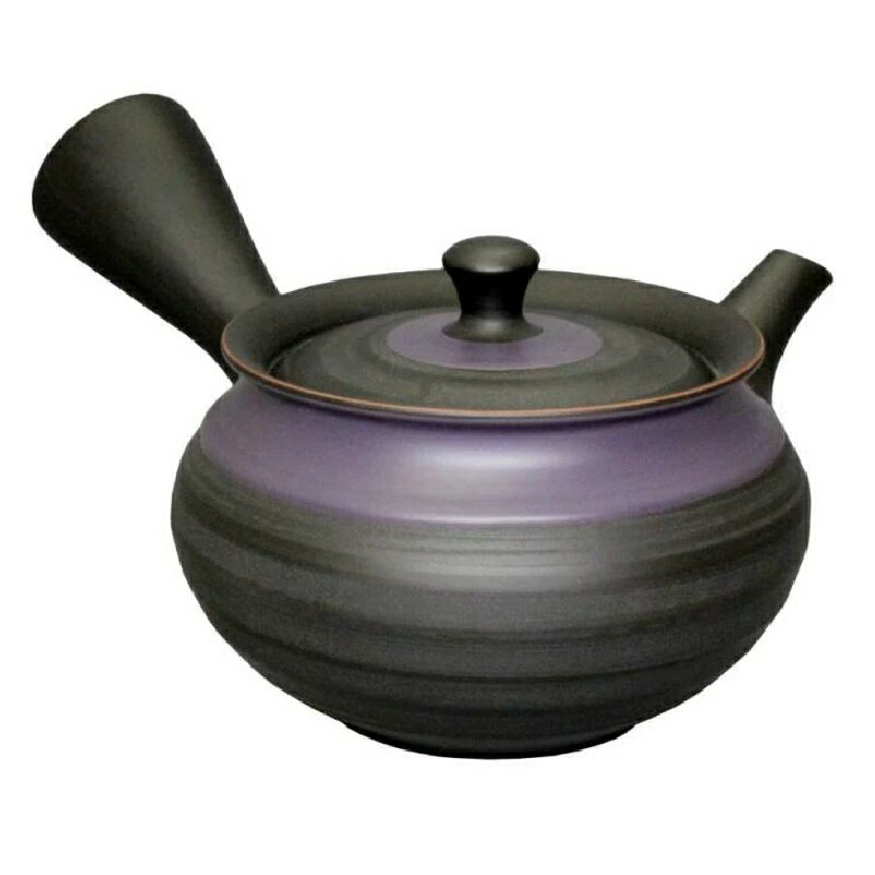 常滑焼 急須 宇幸作「黒窯変紫襟巻」300ml (帯アミ茶こし)