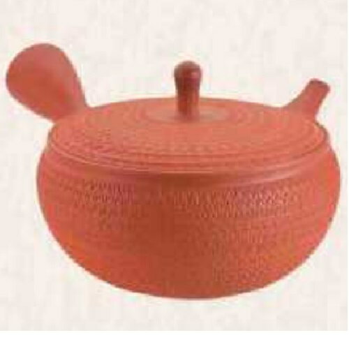 ���� �޿� �̸���ּ����� �ʥӥ��300ml (�����å����㤳��)