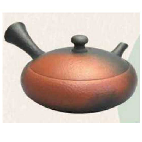 常滑焼 急須 益規作「朱窯変 面タタキ」120ml (陶器製茶こし)