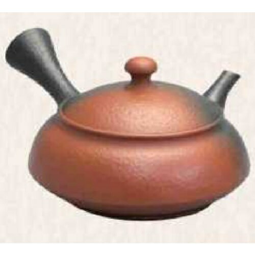 常滑焼 急須 益規作「朱窯変 面タタキ」120ml (陶器製茶こし)