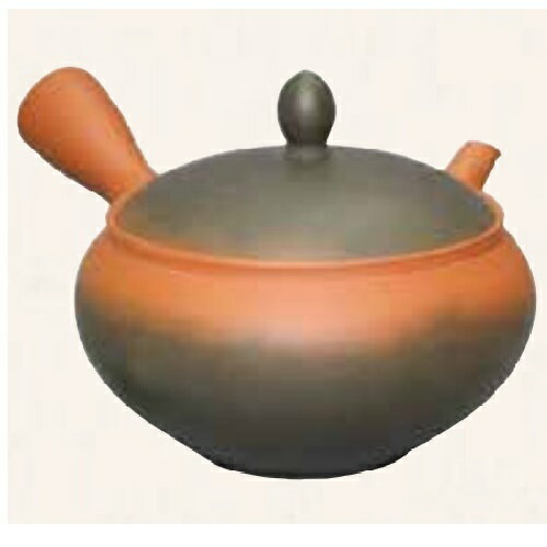 容量：300ml 生産地：日本(常滑焼) 材質：陶器 茶こし：陶器製茶こし 作家：弘二 手造り品の為、サイズ・形・色合いが若干異なる場合があります。 職人が切磋琢磨して造り上げた、とこなめ焼急須が誇る“伝統の技”です。 常滑：日本の六古窯の...