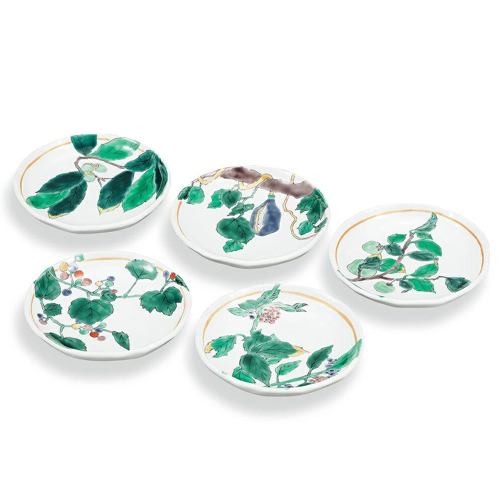 九谷焼 晄窯 5号皿揃 山の恵み (5枚組)