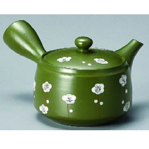 Other - 常滑焼急須【深蒸し急須/かご網茶こし急須】富仙緑平釜白梅急須　富仙作 370cc