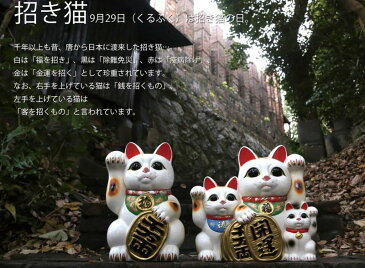 招き猫：貯金箱：黒小判付招猫（右手）5号