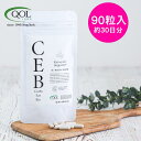 糖質分解 糖化ストレス 糖質分解菌サプリメント ダイエットサポート CEB カーボイートバイオ 390mg×90粒 納豆菌 枯草菌 ユーグレナ ケトジェニックダイエット QOL公式