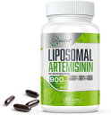 Osasuna社 リポソーム アルテミシニン 600 mg ケルセチン 200 mg 配合60粒入り サプリメント　Osasuna Liposomal Artemisinin 600 mg with Quercetin Phytosome 200mg, Maximum Absorption, Sweet Wormwood Extract, 60