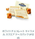 u412ZbgvMf Chocolate SQUARES 412~1 Mf `R[g zCg`R[g L XNGA TtVXR `R[g AJ َqWHITE CHOCOLATE CARAMEL SQUARES CASE PACK (412 CT)