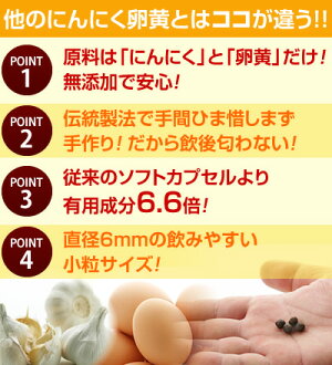 「自律神経」「耳鳴り」「睡眠障害」「うつ病」「パニック障害」「更年期」「めまい」痛風・尿酸値・真剣にお悩みの方に!