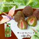 抹茶ストロベリー 12個入り 当店発世界初 フリーズドライ いちご チョコ 染み込んでいるから常温OK