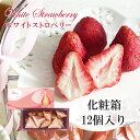 (箱)ホワイトストロベリー 12個入り 当店発世界初 フリーズドライ いちご チョコ 染み込んでいるから常温OK