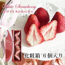 ホワイトストロベリー 6個入り 当店発世界初 フリーズドライ いちご チョコ 染み込んでいるから常温OK
