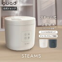 【QUADS公式】 スチーム加湿器 大容量 上部給水 スチーム式 タイマー チャイルドロック 簡単お手入れ スチーム式 クワッズ公式【メーカー保証付き】