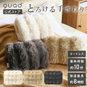【QUADS公式】 蓄熱湯たんぽ とろける触り心地 もこもこ 蓄熱10分 トロン エコ 省エネ 最大8時間あたたかさ持続 お湯交換不要 洗濯OK 電気湯たんぽ ...
