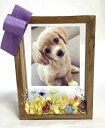 記念品【お花のフォトスタンド ナチュラル】写真たて ペットのお供え お見舞い 送別 L判 ドライフラワー プリザーブド 繊細 フラワー お手入れ不要花 ボックス...