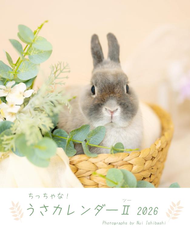 樂天商城 - ちっちゃなうさカレンダーII 2026