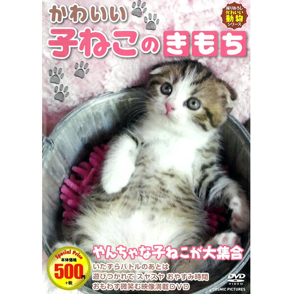 DVD かわいい 子ねこのきもち CCP-8007 子猫 子ねこ 猫ちゃん 癒し 肉球 遊び アニマル映像 動物 ペット 猫 飼い猫 いたずら 寝姿 スコティッシュフォールド アメリカンショートヘア ブリティ…