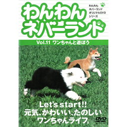 DVD わんわんネバーランド Vol.11 ワンちゃんと遊ぼう編 ワンちゃんライフ 犬 しつけ トイレ 散歩 健康管理 食事 手作り料理 身だしなみ アロマセラピー ファッション 運動 遊び 病気 愛犬 子犬 成犬 老犬 ペット 動物 嘉門洋子[メール便]