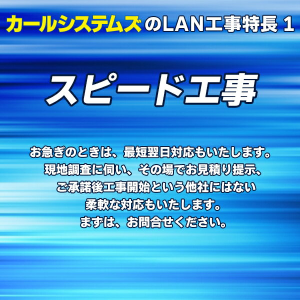 LAN工事・ネットワーク構築ならおまかせください【埼玉県・東京都中心】【スピード対応】【VPN】【無線LAN】【UTM】【ネットワーク構築】 2