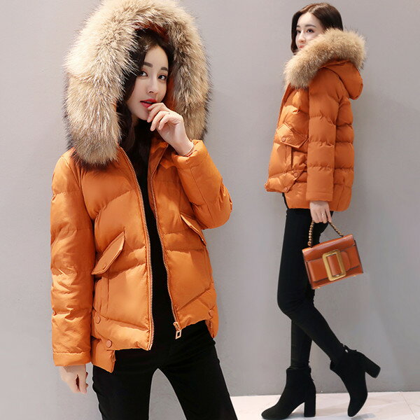 ショート段落ジャケット緩い綿の女性2017冬の新しい女性のコート大きな綿の襟ダウン綿の冬の服のサムネイル