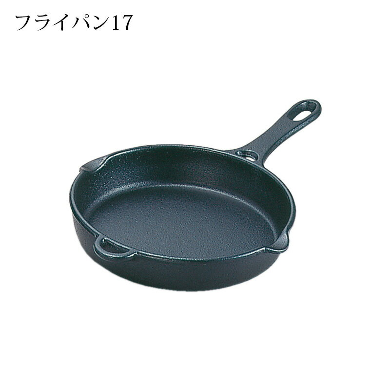 岩鋳 Iwachu フライパン17cm スキレット 南部鉄器 鉄フライパン キッチン用品 調理器具 鉄製フライパン 鉄 IH対応