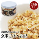 缶詰 宮崎県産ひのひかり玄米ごはん 24個1ケースセット | 非常食 保存食 長期保存 長期保存食品 ごはん ご飯 缶詰ごはん 備蓄食品 防災 長期 保存 食 ...