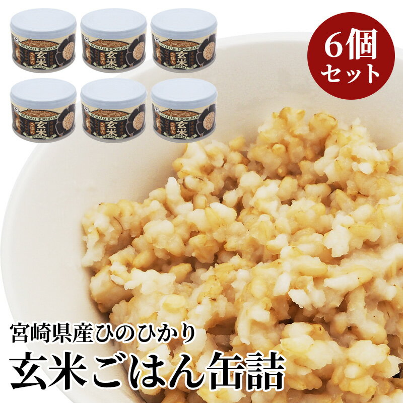 缶詰 宮崎県産ひのひかり玄米ごはん 6個セット | 非常食 