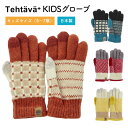 手袋 タッチグローブ Tehtava テスタバ スマホ手袋 日本製 子供用 | キッズ フリーサイズ スマホ 暖かい かわいい 防寒 リンクコーデ お揃い プレ...