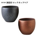 銅器彩 ロックカップ ペア | 2個 陶器 コップ グラス ビール 西海陶器 波佐見焼 木箱 結婚祝い 引っ越し祝い 引き出物 ギフト プレゼント 夫婦 お誕生...