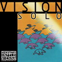 rW \ rI C VIS24 yg}XeB[Nz [Vision Solo]