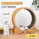 【7/18まで〜先着16%OFFクーポン!!】キャットホイール 猫 ルームランナー 木製 ランニングホイール キャットウォーク 回転 猫ホイール 室内運動用 自...