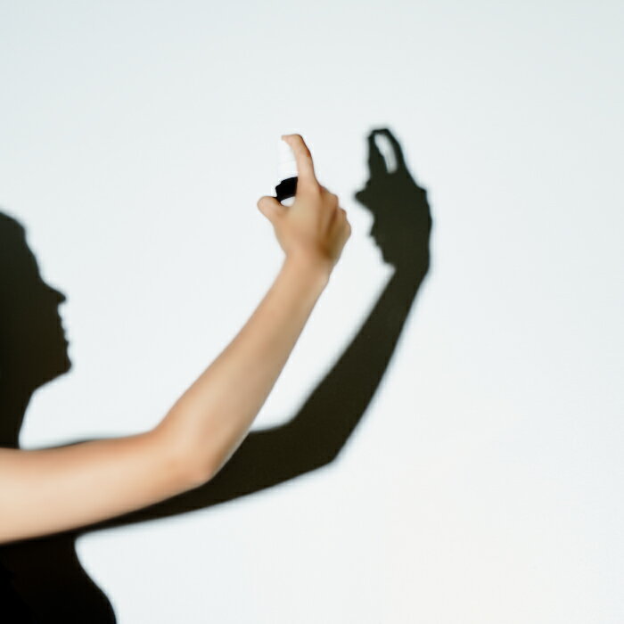 �������󥺥Х��롼�� ���꡼���ե����ȥ�����ߥ��� ���ѥ��ץ졼