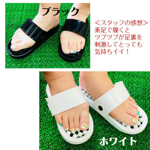 ������ɤä���OK������� ξ����������� �֥�å����ۥ磻�� ��������˽�����