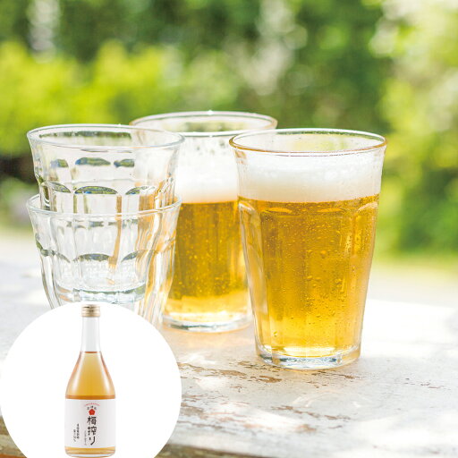 和歌山 梅搾り (4倍希釈) 2本セット 490ml×2 化粧箱入り 離島は配送不可 和歌山 梅搾り (4倍希釈) 2本セット 490ml×2 化粧箱入り 離島は配送不可