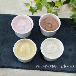 アレルギー対応 100％植物性 そのまま食べる豆乳ムース 4種類 10個セット 乳・卵・小麦を使用していないスイーツ きらら