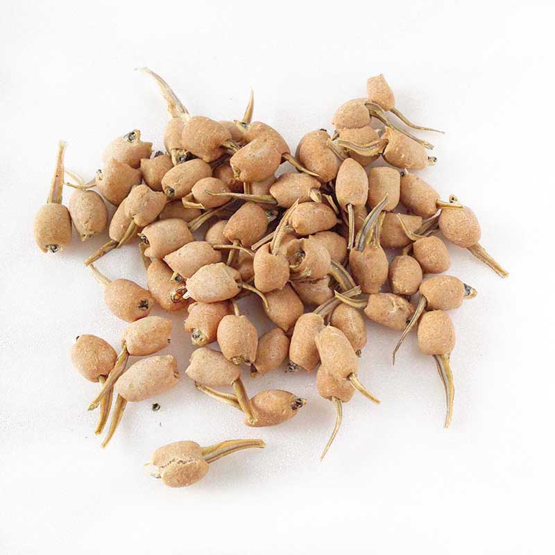 犬用 わんちゃん用 ビスケット サーディンチップ sardin chips トッピング おやつ クッキー キッチンドッグ kitchen Dog! 3