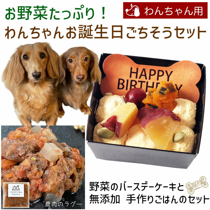 お野菜たっぷり！わんちゃんお誕生日ごちそうセット 野菜のバースデーケーキと手作り 犬用ごはん 鹿肉のラグーのセット 送料無料(※一部地域除く)