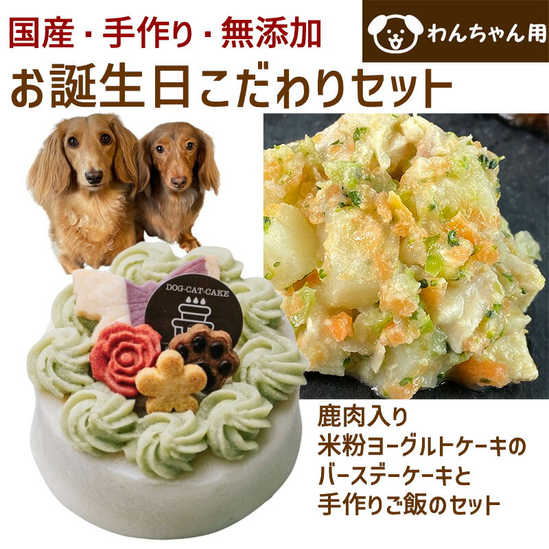 Rakuten - わんちゃんお誕生日こだわりセット 愛犬のお祝いケーキ 鹿肉入り米粉ヨーグルトケーキと手作り犬用ごはん 鶏肉の雪下人参クリームシチューのセット