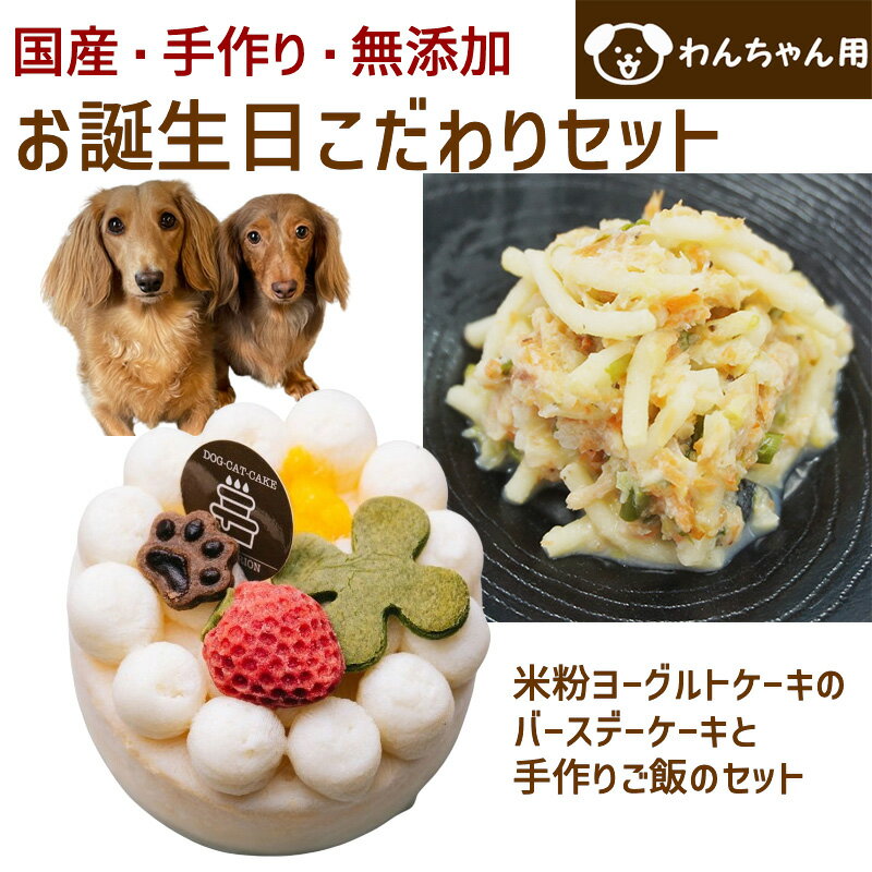 わんちゃんお誕生日こだわりセット 愛犬のお祝いケーキ マンゴー入り米粉ヨーグルトケーキと手作り犬用ごはん クリームパスタのセット バースデーケーキ