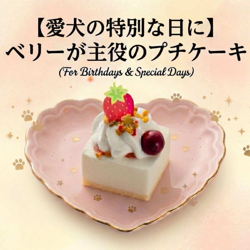 Rakuten - コミフ ベリーのプチケーキ 犬用おやつ 犬用ケーキ 誕生日ケーキ バースデーケーキ