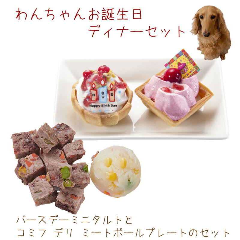 わんちゃんお誕生日ディナーセット ミニタルト2個セットとミートボールプレートセット 送料無料